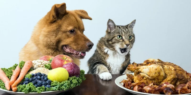 Alimentos proibidos para pets