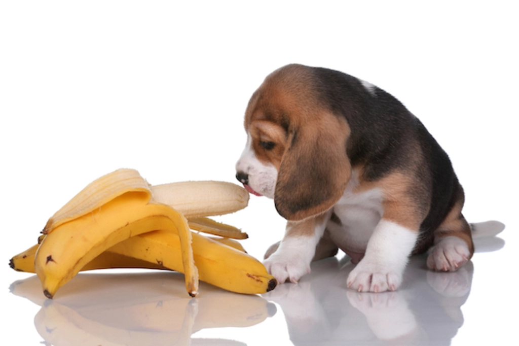 Frutas liberadas - Banana