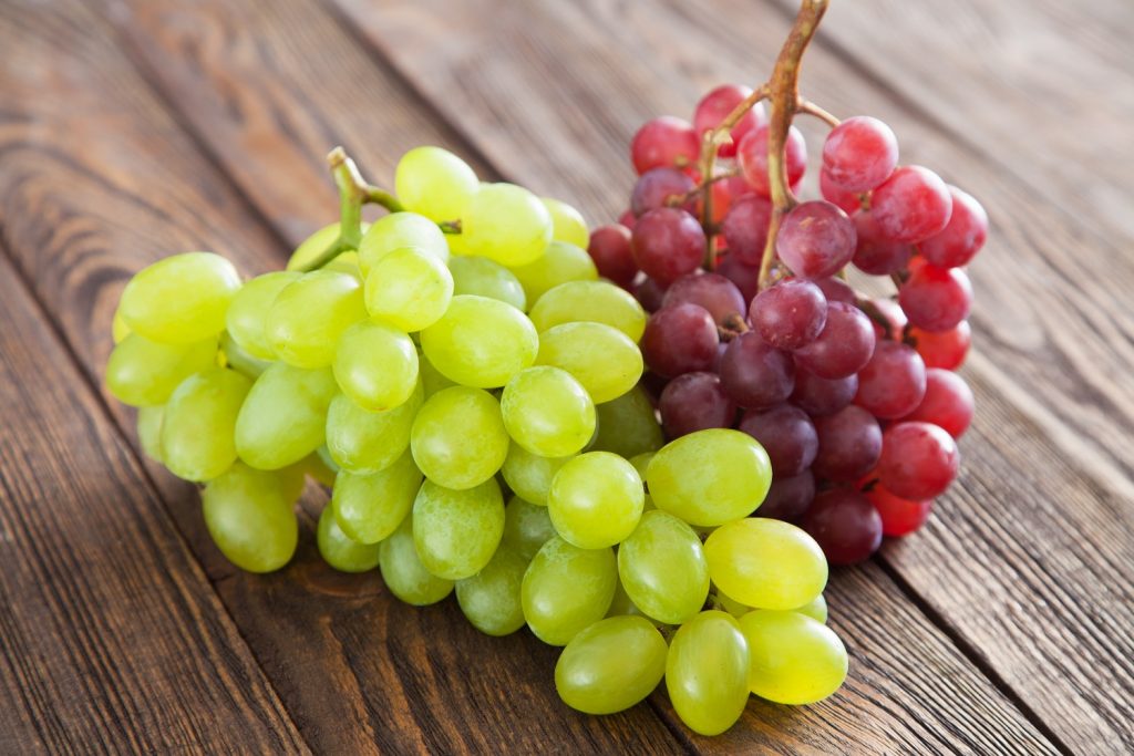 Uvas - Alimentos proibidos para pets