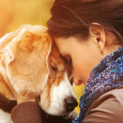cão de apoio emocional abraçado por sua tutora