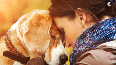 cão de apoio emocional abraçado por sua tutora