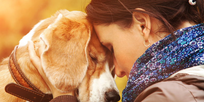 cão de apoio emocional abraçado por sua tutora