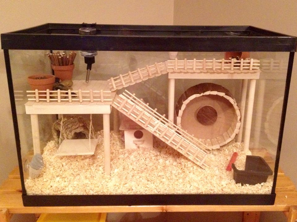 Gaiola adequada para hamsters