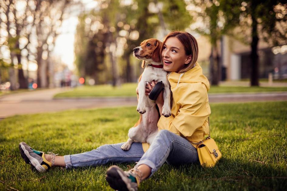Benefícios de ter um cachorro em apartamento Benefícios de ter um cachorro em apartamento