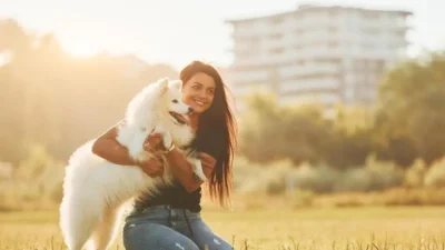 cachorro para apartamento