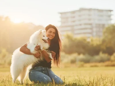 cachorro para apartamento