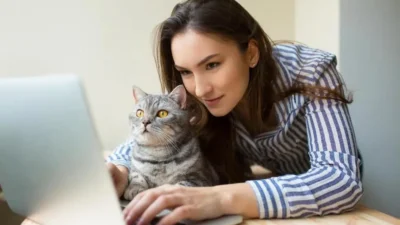 nomes de gatinhos masculinos