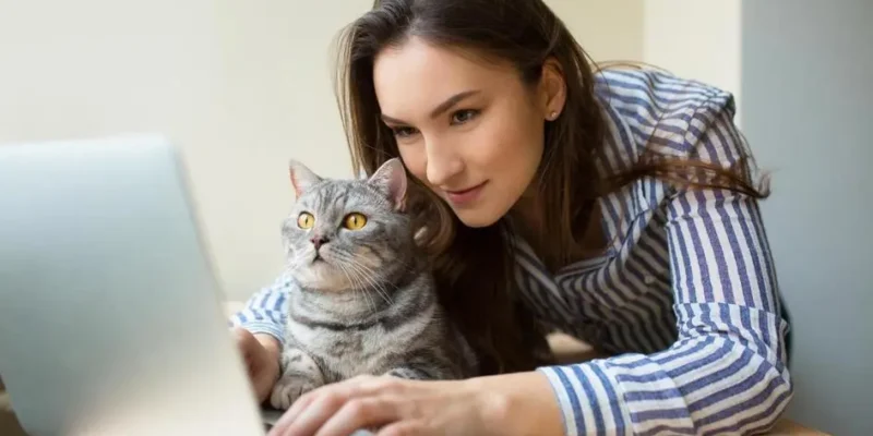 nomes de gatinhos masculinos