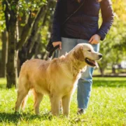 nomes para cachorro masculino