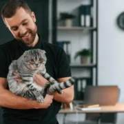 nomes para gato