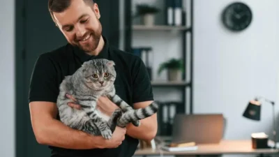 nomes para gato
