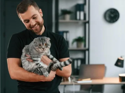 nomes para gato
