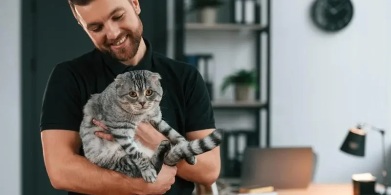 nomes para gato
