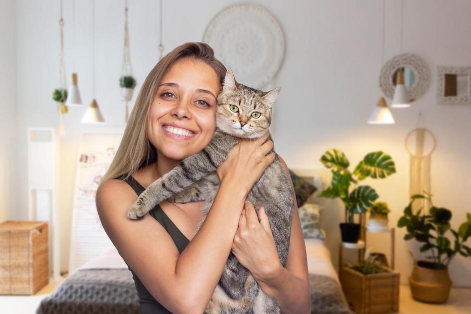 Os nomes mais populares para gatos fêmeas Os nomes mais populares para gatos fêmeas