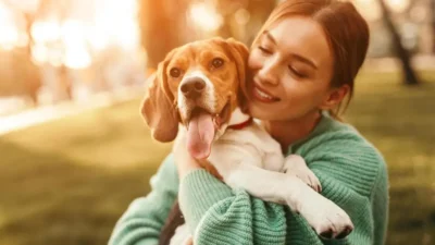 cachorros silenciosos