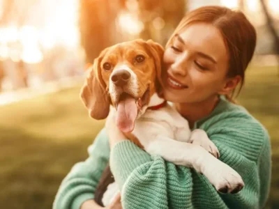 cachorros silenciosos