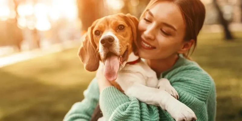 cachorros silenciosos