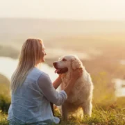 cuidado com filhotes de cachorro