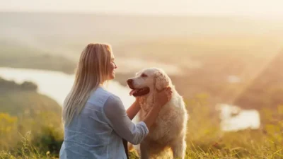 cuidado com filhotes de cachorro