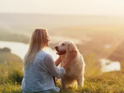 cuidado com filhotes de cachorro