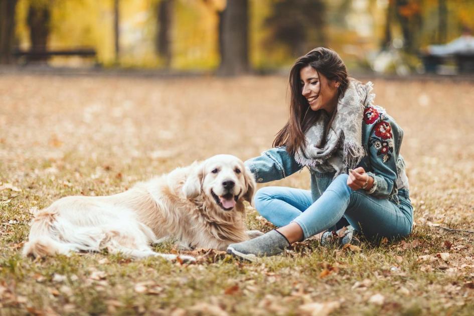 Dicas para estabelecer uma comunicação efetiva com o seu cachorro durante o adestramento
