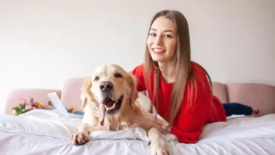 inflamação no ouvido do cachorro