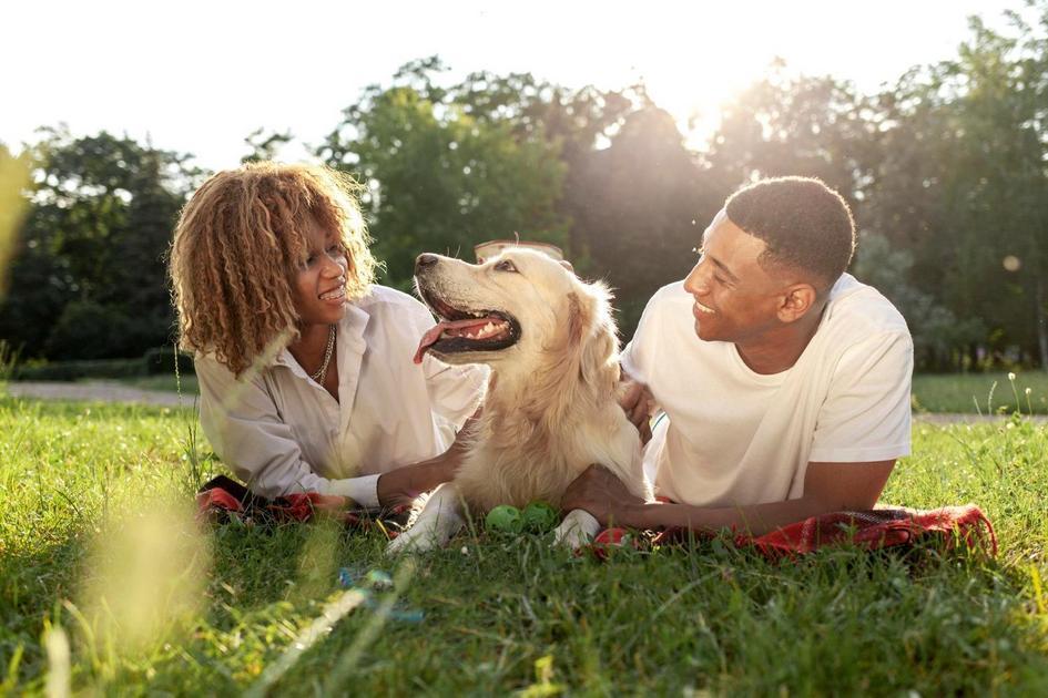 Nomes de personalidades históricas para cães machos Nomes de personalidades históricas para cães machos