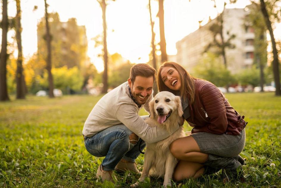 Nomes fofos para cachorros pequenos: Dicas para encontrar o nome ideal para o seu pet