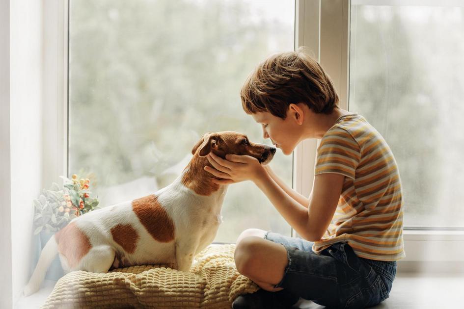 Treinando seu cachorro para ser mais calmo e silencioso Treinando seu cachorro para ser mais calmo e silencioso