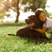 10 razões pelas quais ter um animal de estimação é bom para a sua saúde