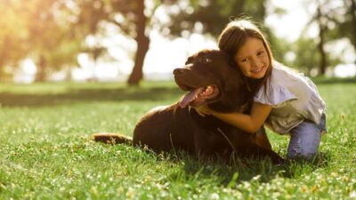 10 razões pelas quais ter um animal de estimação é bom para a sua saúde