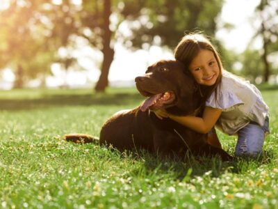 10 razões pelas quais ter um animal de estimação é bom para a sua saúde