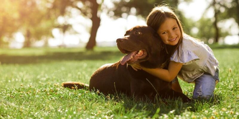 10 razões pelas quais ter um animal de estimação é bom para a sua saúde