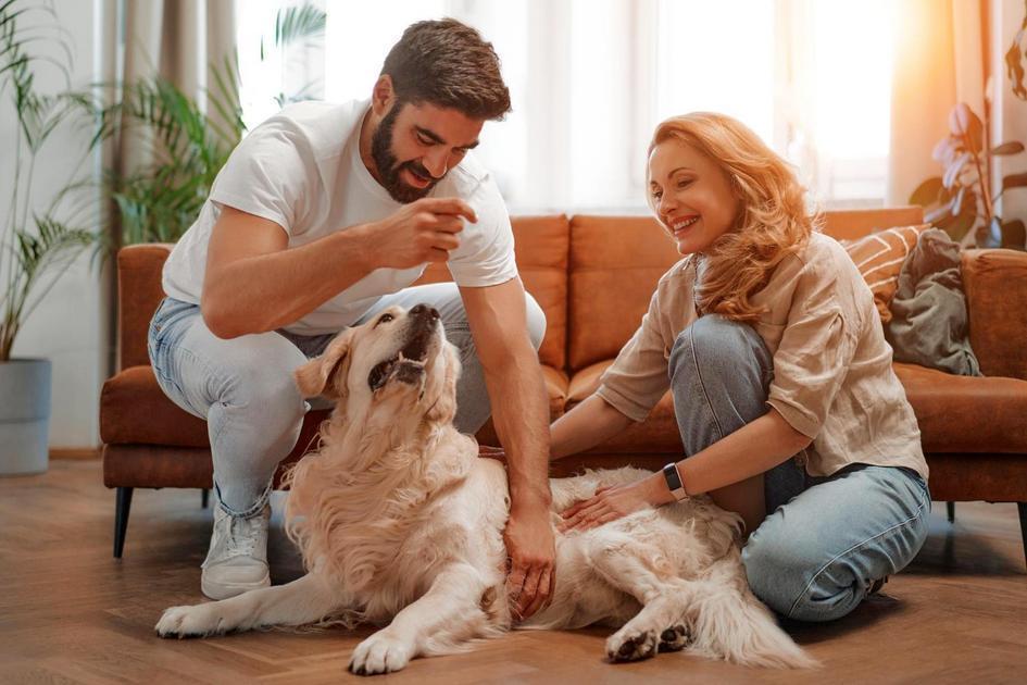 Crianças e animais de estimação: crescendo com saúde e felicidade Crianças e animais de estimação: crescendo com saúde e felicidade