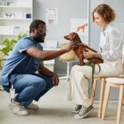 doença de cachorro em humanos