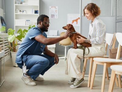 doença de cachorro em humanos