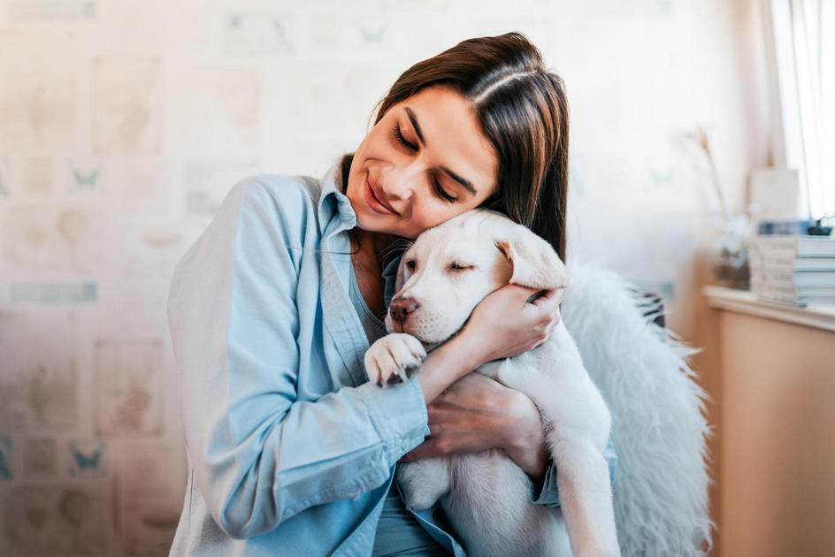 Escolhendo o nome perfeito para o seu cachorrinho Escolhendo o nome perfeito para o seu cachorrinho