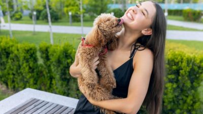 micose de cachorro em humanos