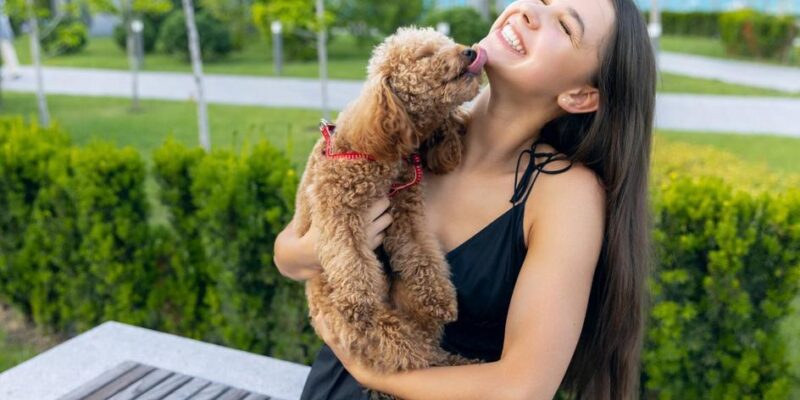 micose de cachorro em humanos
