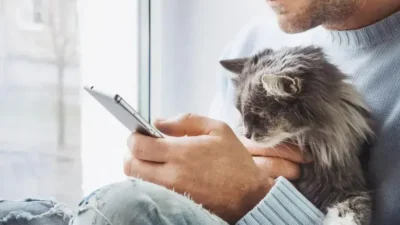 nome de gatinhos masculino