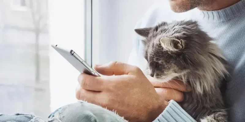 nome de gatinhos masculino