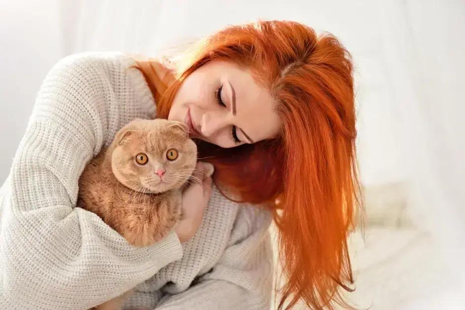 Nomes Clássicos e Modernos para Gatinhos Masculinos Nomes Clássicos e Modernos para Gatinhos Masculinos