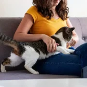 nomes fofinhos para gatos