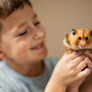 o que hamster gosta de comer