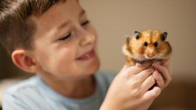 o que hamster gosta de comer