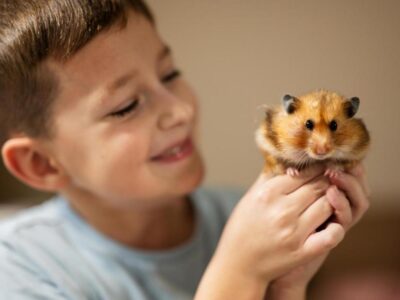 o que hamster gosta de comer