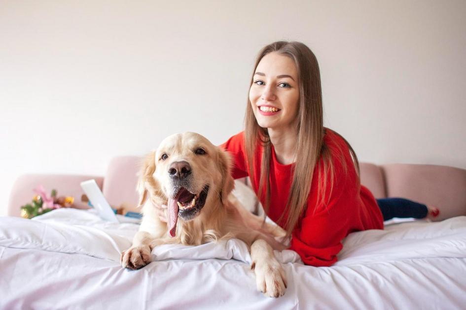 Como e Quando Vacinar Seu Filhote de Cachorro Como e Quando Vacinar Seu Filhote de Cachorro