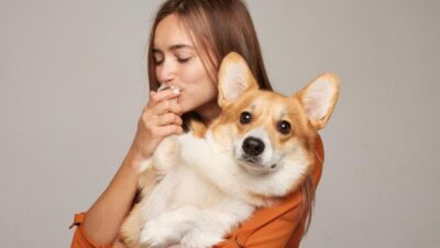 cachorro pode comer caqui?