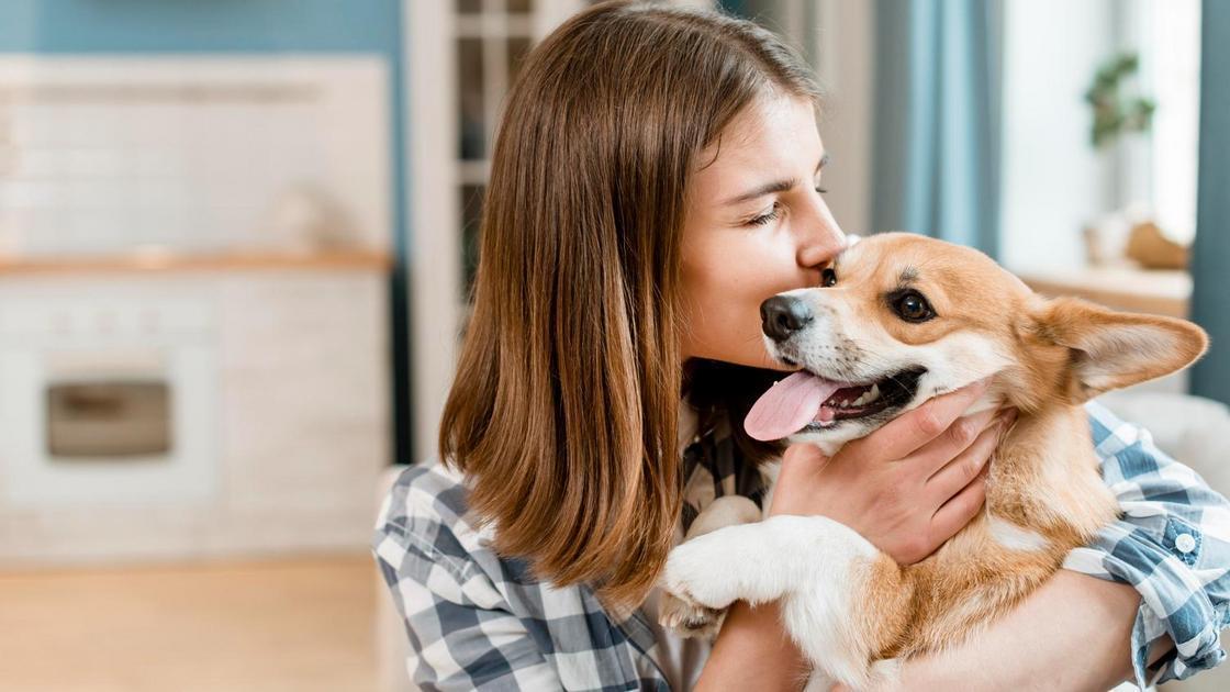 Dicas Iniciais para Preparar o Ambiente de Treinamento do seu Pet