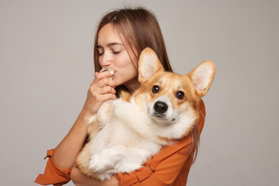 Investimento no Adestramento de seu Cão: Uma Visão Financeira Investimento no Adestramento de seu Cão: Uma Visão Financeira